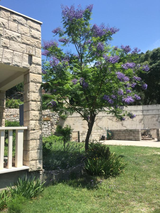 Apartmani Domenika Žuljana Dış mekan fotoğraf